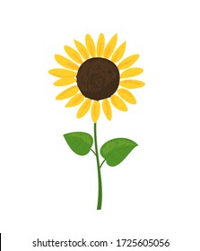 Sunflower icon isolated on white background vector illustration. Cute hand drawn flower.