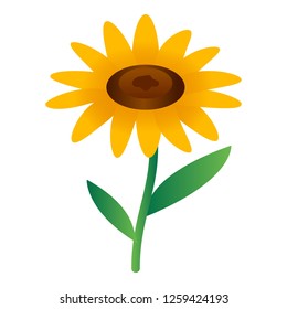 Sunflower icon. Isometric of sunflower vector icon for web design isolated on white background