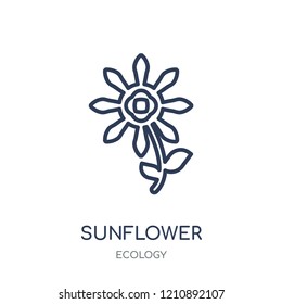 Sunflower icon. Sunflower linear symbol design from Ecology collection. Simple outline element vector illustration on white background.