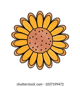 sunflower icon over white background colorful design vector illustration
