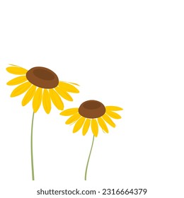 sunflower icon sign isolated on white background vector illustration.