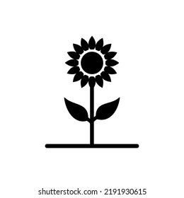 Sunflower Icon Or Sunflower Silhouette Vector Logo Illustration Editable. The Simple sunflower icon illustration suitable for sunflower related design purposes.