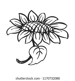 Sunflower icon. Simple illustration of sunflower vector icon for web design isolated on white background