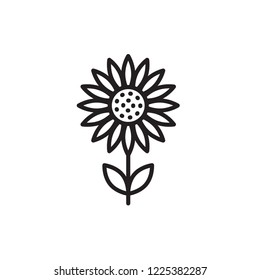 sunflower icon vector