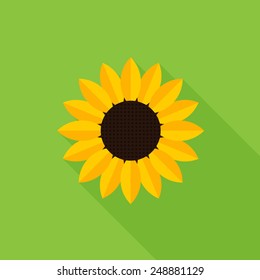 Sunflower icon - Vector