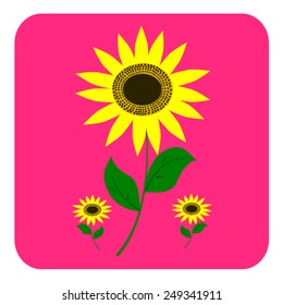sunflower icon vector