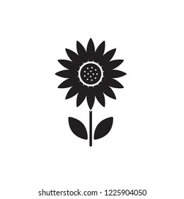 sunflower icon vector. flower glyph icon