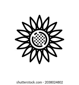 Sunflower icon vector. flower illustration sign. garden symbol. beauty logo.