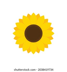 sunflower icon vector flower sign