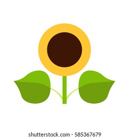 Sunflower icon. Vector illustration