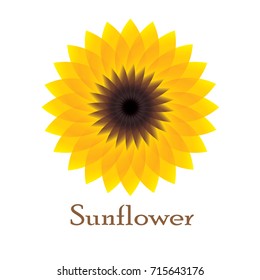 sunflower icon - vector illustration