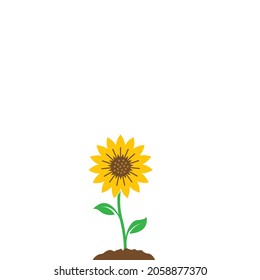 Web de plantilla de diseño de ilustraciones de vectores de iconos de girasol