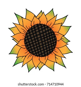Sunflower icon. Vector illustration of sunflower. Hand drawn sunflower.
