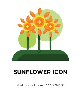 Sunflower icon vector isolated on white background, Sunflower transparent sign , colorful symbols