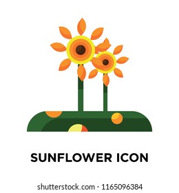 Sunflower icon vector isolated on white background, Sunflower transparent sign , colorful symbols