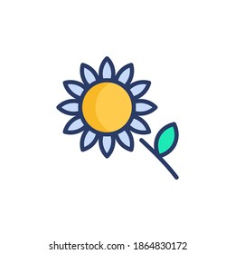 Sunflower icon in vector. Logotype