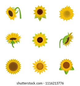Sunflower icons set. Cartoon set of 9 sunflower vector icons for web isolated on white background