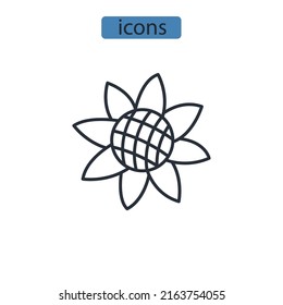 Sunflower icons  symbol vector elements for infographic web