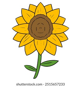sunflower illustration hand drawn isolated vector