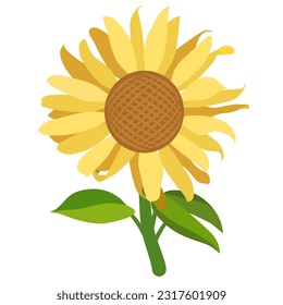 Sonnenblumen-Illustration zum Dekorieren von Kunstwerken.