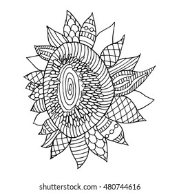 Sunflower illustration on simple white background