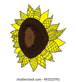Sunflower illustration on simple white background