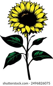 sunflower illustration vector art silhouette