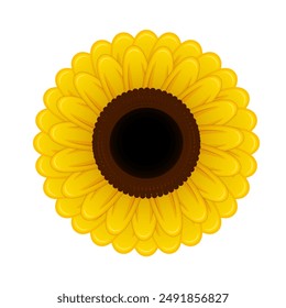 Sunflower illustration Vector for Decoration, Blooming flower isolate graphic, Vintage elements