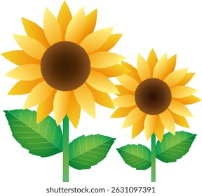 Sunflower illustrations for summer use (2)