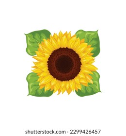 Sunflower. The image of a sunflower in cartoon style. Yellow sunflower with green leaves. Vector illustration isolated on a white background