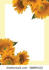 Sunflower invitation 