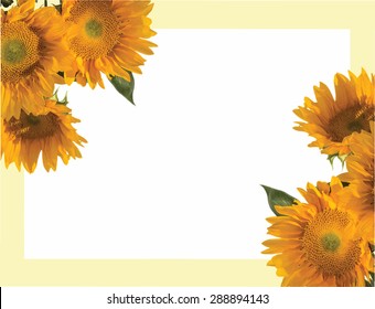 Sunflower invitation 