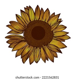 Sunflower isolated object logo. Sun flower icon. sunflower oil logo. Vector illustration