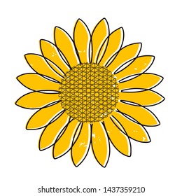 Sunflower  isolated on white background vector illustration.