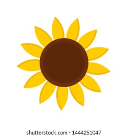 Sunflower isolated on white background. Vector illustration.