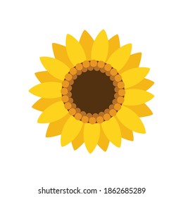 Sunflower isolated on white background. Sunflower in flat style. Nature concept. Vector stock