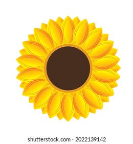 Sunflower isolated on white background. vector illustration