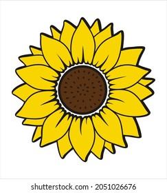 sunflower isolated on white background illustration