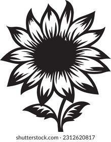 Sunflower Isolated on white background