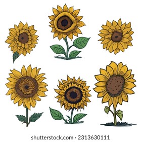 Sunflower isolated on white background. Collection of funny sunflower cartoon characters. Cute smiling baby flower. Sunflower plant for children. Happy flower icon set. Sunflower vector.