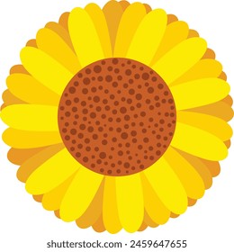 Girasol aislado sobre un fondo blanco