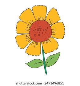 Sunflower isolated on white background