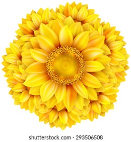 Sunflower isolated on white background. EPS 10 vector file included