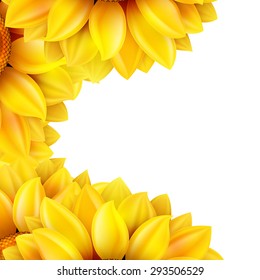 Sunflower isolated on white background. EPS 10 vector file included