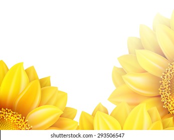 Sunflower isolated on white background. EPS 10 vector file included