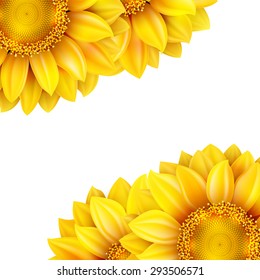 Sunflower isolated on white background. EPS 10 vector file included