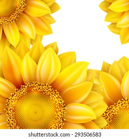 Sunflower isolated on white background. EPS 10 vector file included