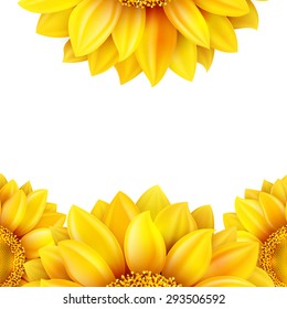 Sunflower isolated on white background. EPS 10 vector file included