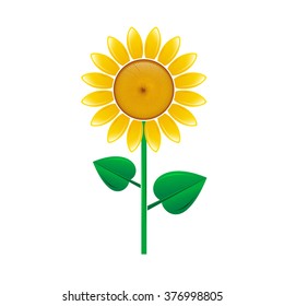 Sunflower isolated on white background. Vector illustration.