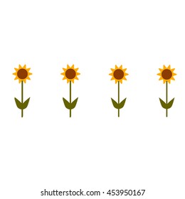 Sunflower isolated on white background. Natural sunflower summer yellow flower, garden isolated plant. Yellow natural bright blossom leaf flora. Agriculture green orange botany floral sun vector.